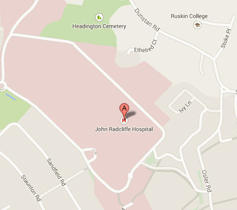 Google Map